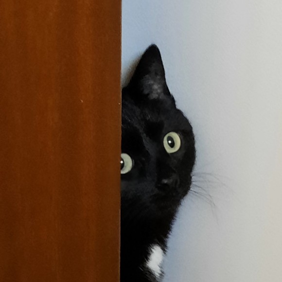 Meet your Posher, Mariah - Picture 1 of 1